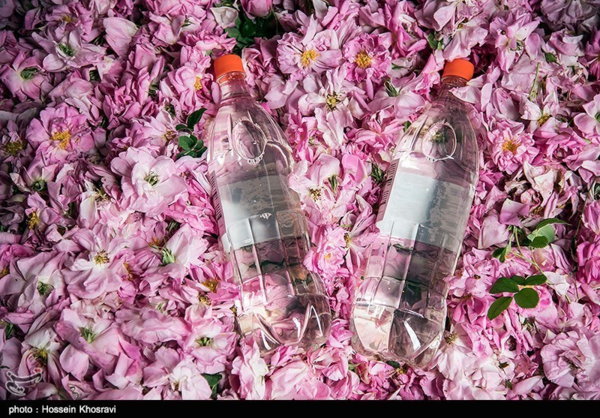 گلاب وعرقیجات سنتی و زرشک